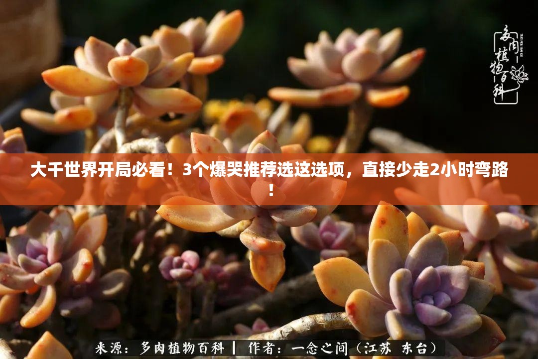 大千世界開(kāi)局必看！3個(gè)爆哭推薦選這選項，直接少走2小時(shí)彎路！
