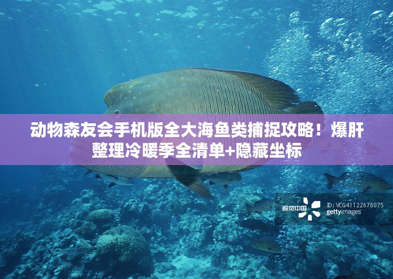 動(dòng)物森友會(huì )手機版全大海魚(yú)類(lèi)捕捉攻略！爆肝整理冷暖季全清單+隱藏坐標