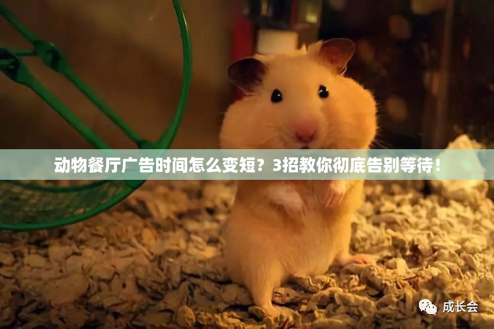 動(dòng)物餐廳廣告時(shí)間怎么變短？3招教你徹底告別等待！